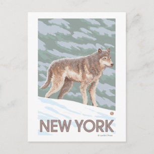 New YorkWolf Scene Postcard