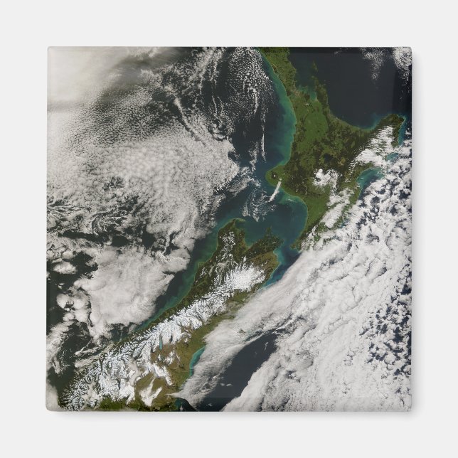 New Zealand 3 Magnet (Front)