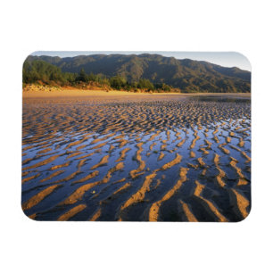 New Zealand, Abel Tasman National Park, Coast 2 Magnet