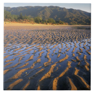 New Zealand, Abel Tasman National Park, Coast 2 Tile
