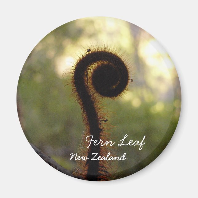 New Zealand, Aotearoa, Fern Leaf (Magnet) Magnet (Front)