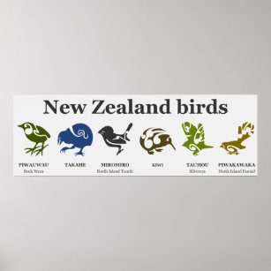 New Zealand birds poster