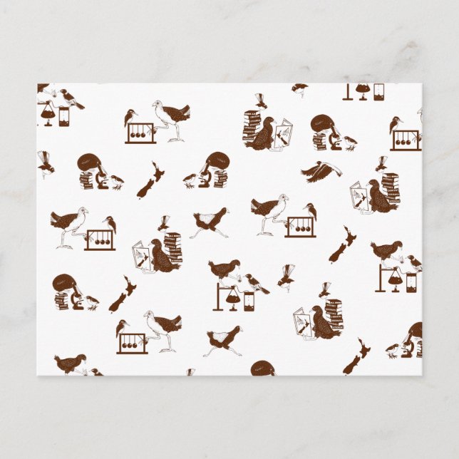 New Zealand Birds Science Students Postcard (Front)