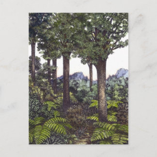 New Zealand Bush Postcard