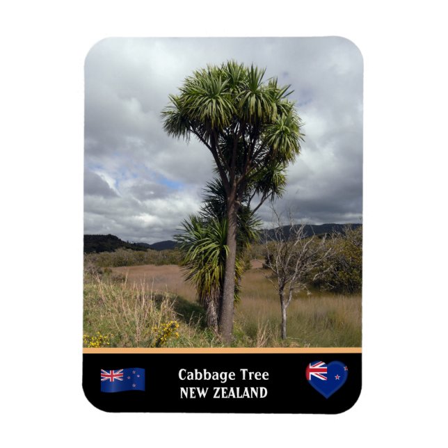 New Zealand - Cabbage Tree, travel / Wilderness Magnet (Vertical)
