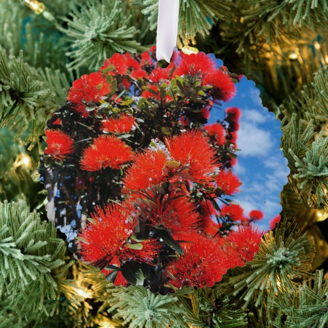 New Zealand Christmas tree  Tree Decoration Card (Insitu (Tree))