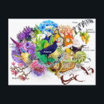 New Zealand collage Postcard<br><div class="desc">catchy New Zealand collage with selection of typical kiwi atributes.</div>