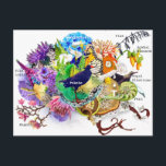 New Zealand collage Postcard<br><div class="desc">catchy New Zealand collage with selection of typical kiwi atributes.</div>