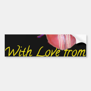  New Zealand cricket player fun Bumper Sticker