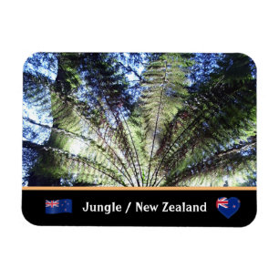 New Zealand, Fern Tree Forest / Jungle trekking Magnet