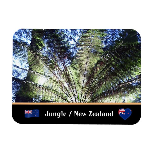 New Zealand, Fern Tree Forest / Jungle trekking Magnet (Horizontal)