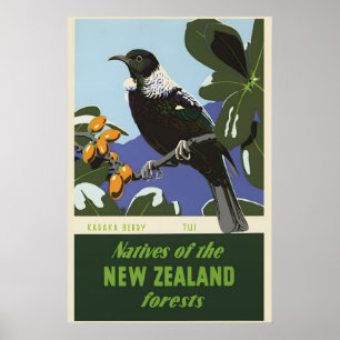New Zealand Forest Bird Karaka Berry 1950s Vintage Poster