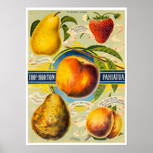 New Zealand Fruit Print
