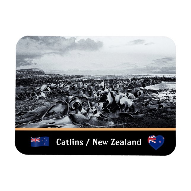 New Zealand, Kelp Coast - Curio Bay /The Catlins Magnet (Horizontal)
