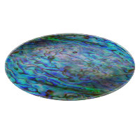 NEW ZEALAND KIWI PAUA