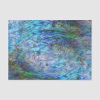 NEW ZEALAND KIWI PAUA