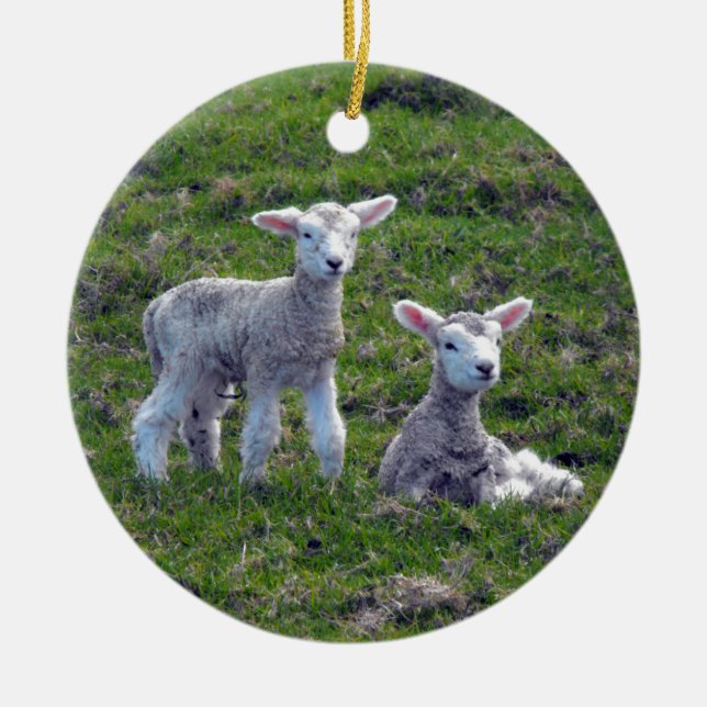 New Zealand Lambs Ceramic Tree Decoration (Front)