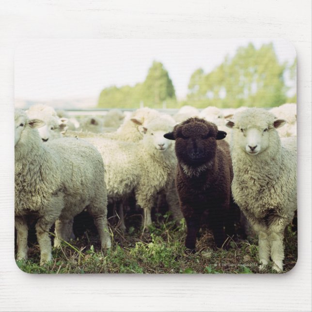 New Zealand Mouse Pad (Front)