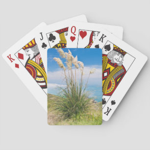 New Zealand, North Island, Cape Reinga Playing Cards