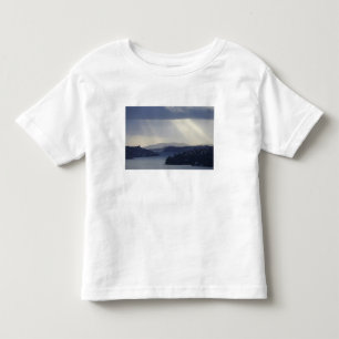 New Zealand, Otago, Dunedin, Light Shafts over Toddler T-Shirt
