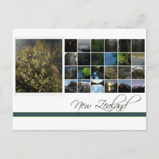 New Zealand Postcard