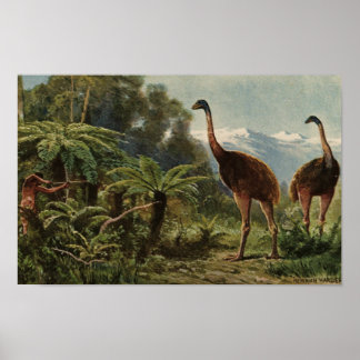 New Zealand Poster