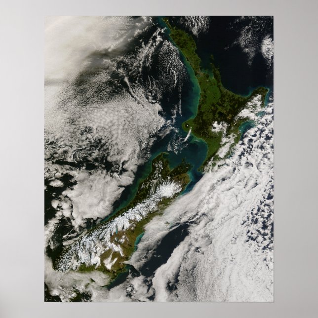 New Zealand Poster (Front)