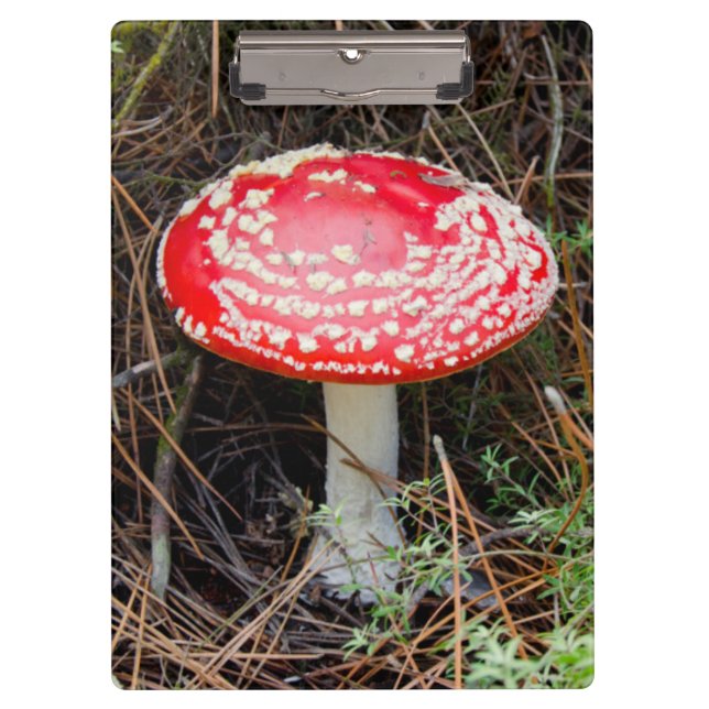 New Zealand, Rotorua, Taupo Volcanic Zone Clipboard (Front)