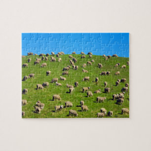 New Zealand, South Island, Canterbury Jigsaw Puzzle