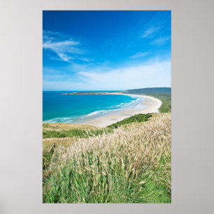 New Zealand, South Island, Catlins, Tautuku Bay Poster