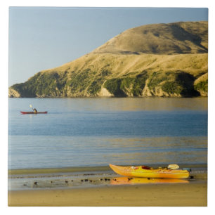 New Zealand, South Island, Marlborough Sounds. 2 Tile