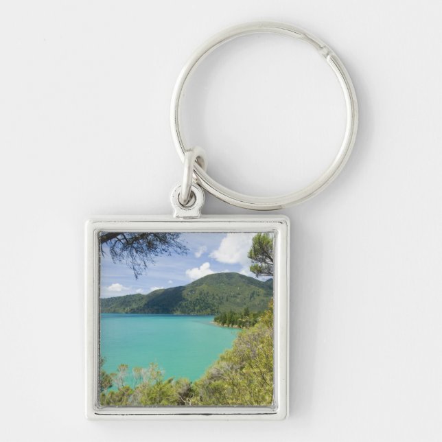 New Zealand, South Island, Marlborough Sounds. Key Ring (Front)