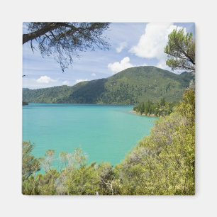 New Zealand, South Island, Marlborough Sounds. Magnet