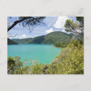 New Zealand, South Island, Marlborough Sounds. Postcard