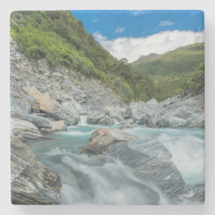 New Zealand, South Island, Mt. Aspiring National Stone Coaster