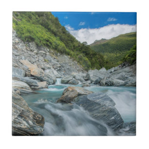 New Zealand, South Island, Mt. Aspiring National Tile