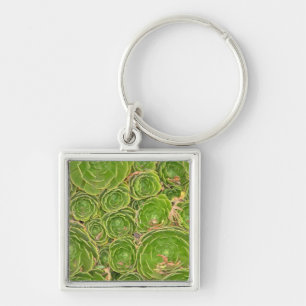 New Zealand, South Island. Succulent. Key Ring