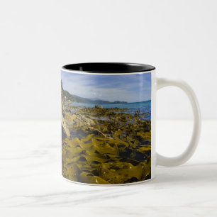 New Zealand, Southland, Stewart Island. Kelp Two-Tone Coffee Mug