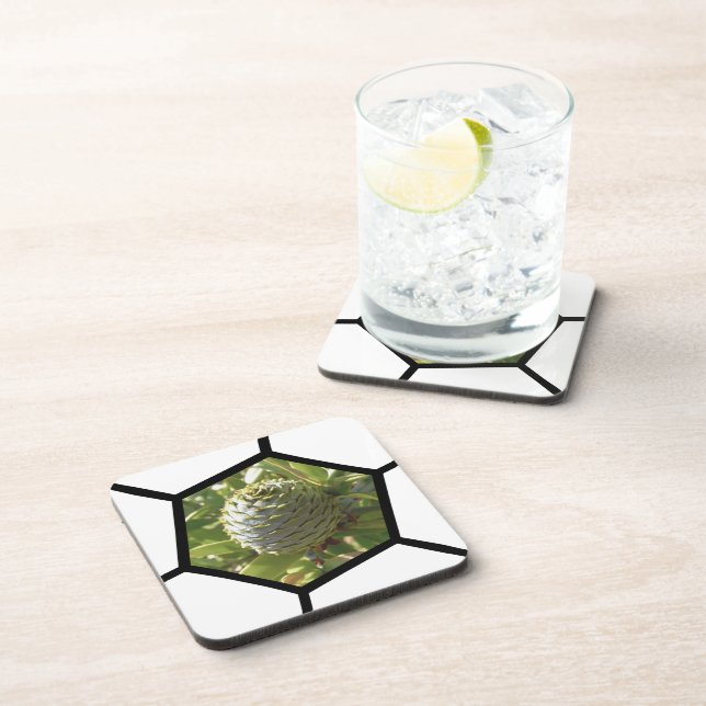 New Zealand Souvenir Kauri Cone Coaster (Right Side)