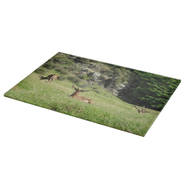 New Zealand Stags Cutting Board (Corner)