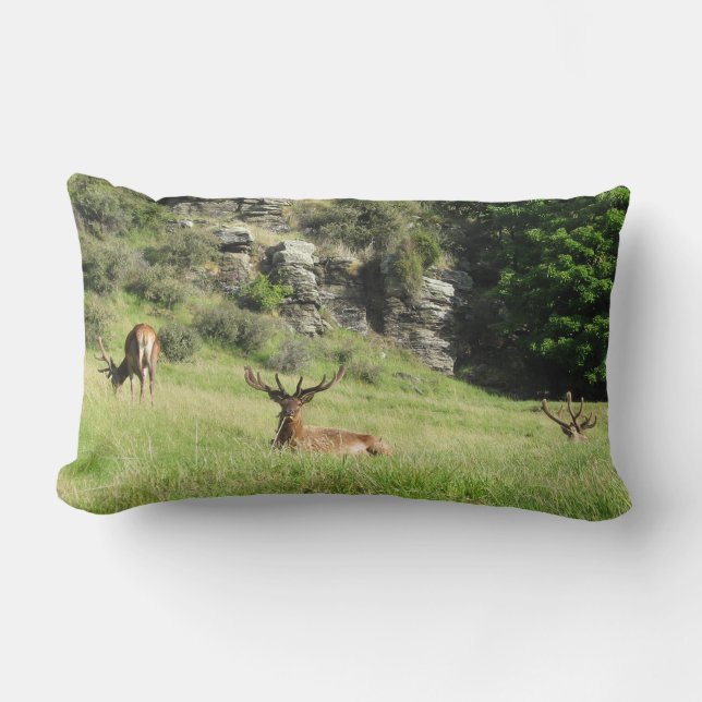 New Zealand Stags Lumbar Cushion (Front)