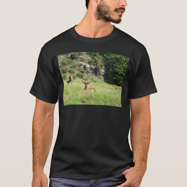 New Zealand Stags T-Shirt (Front)