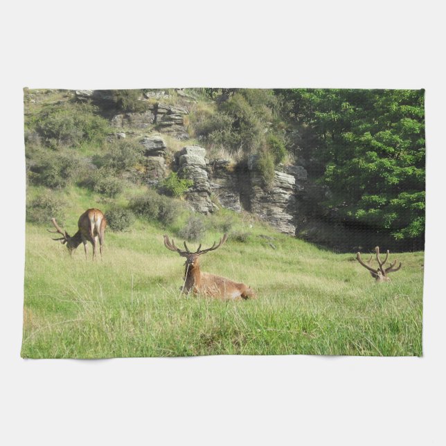 New Zealand Stags Tea Towel (Horizontal)