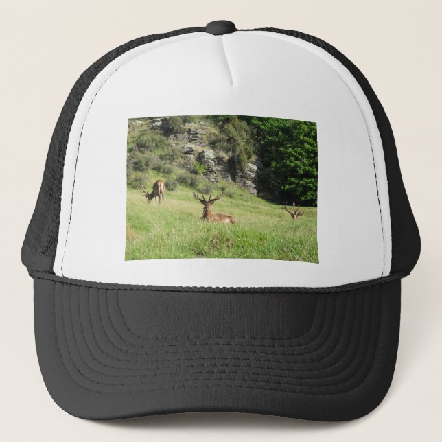 New Zealand Stags Trucker Hat (Front)