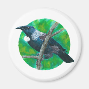 New Zealand Tui - Painting in acrylic Magnet