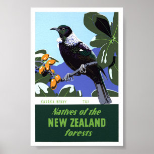New Zealand Vintage Travel Poster Restored