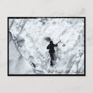 New Zealand, West Coast, Glacier Walker Postcard
