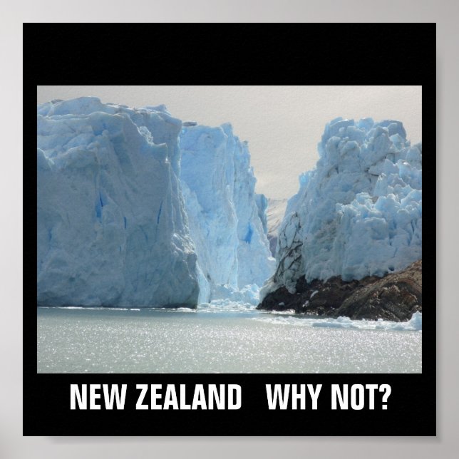 NEW ZEALAND WHY NOT? POSTER (Front)
