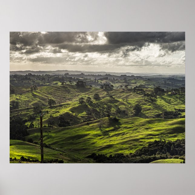 New Zealand's scenic Northland, beautiful farmland Poster (Front)