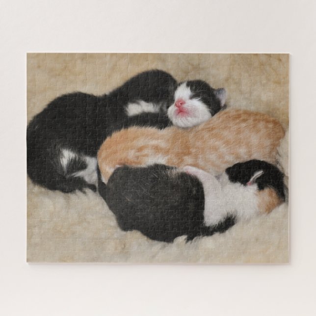Newborn Baby Kittens Jigsaw Puzzle (Horizontal)